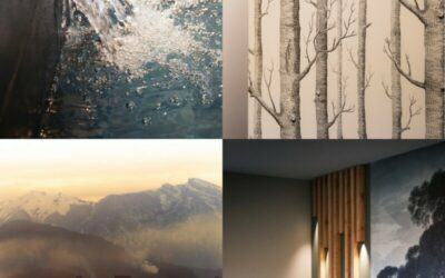 L’établissement d’Anse – Villefranche-sur-Saône